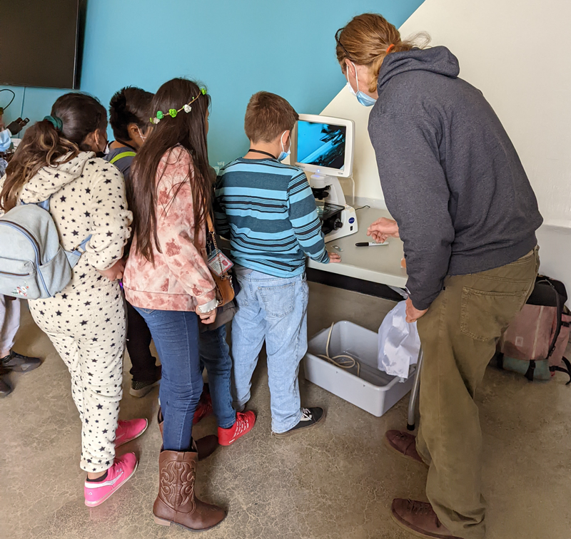 A student uses a microscope during a Microscopes of Tomorrow activity while other students and an adult observe the microscope results on the screen. 
