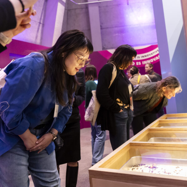 Visitors examining a mealworm lifecycle in the Future of Food exhibit.